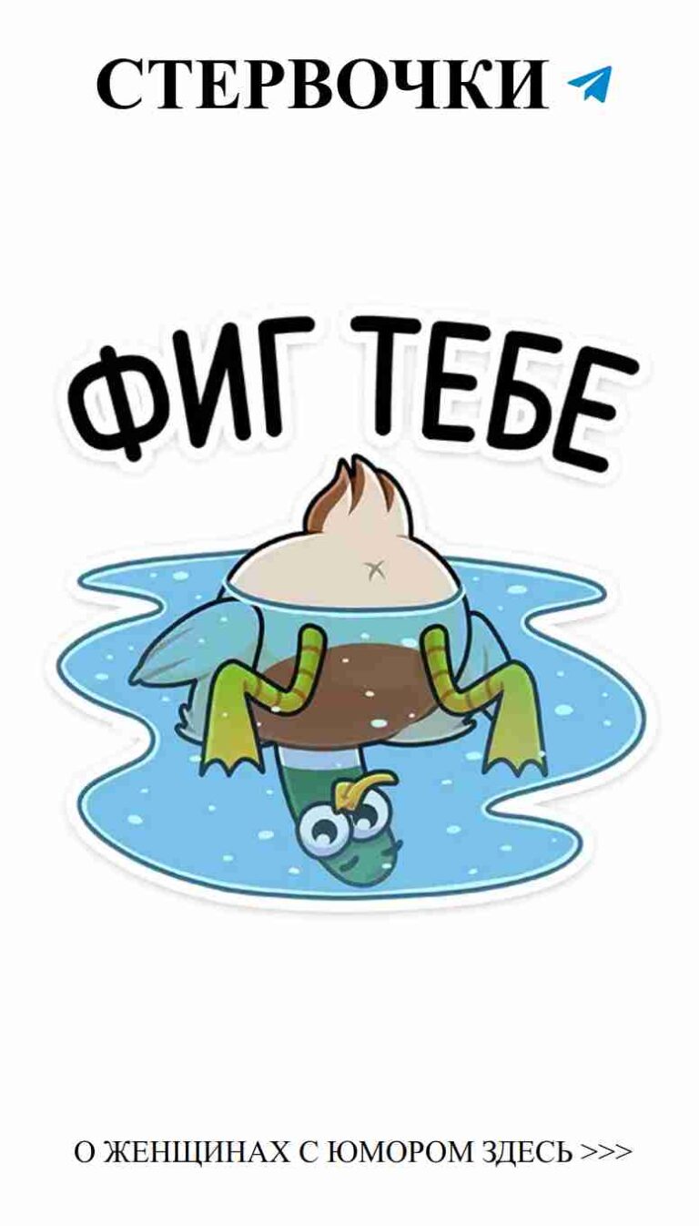 Смешные стикеры о любви: уют с Пусиным и ведром счастья