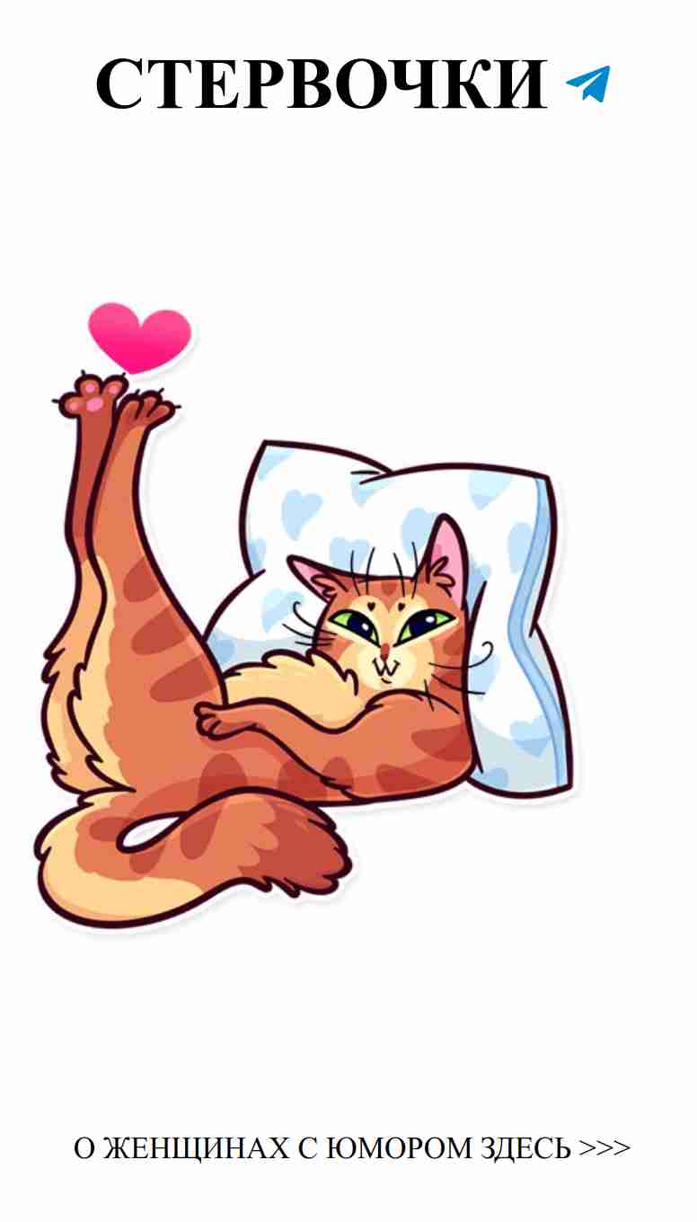 Когда коты мечтают о любви в объятиях подушки