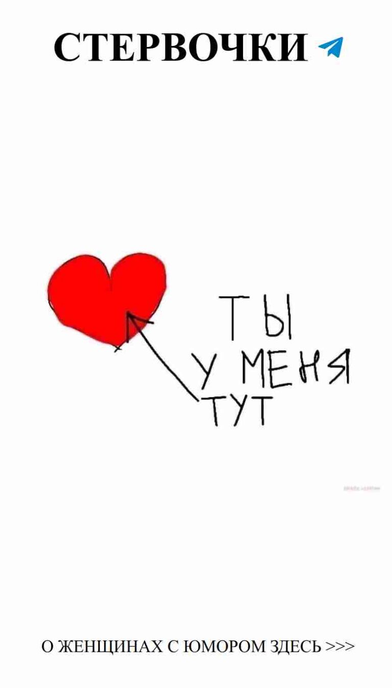 Смешные цитаты о любви для настоящих кошатниц