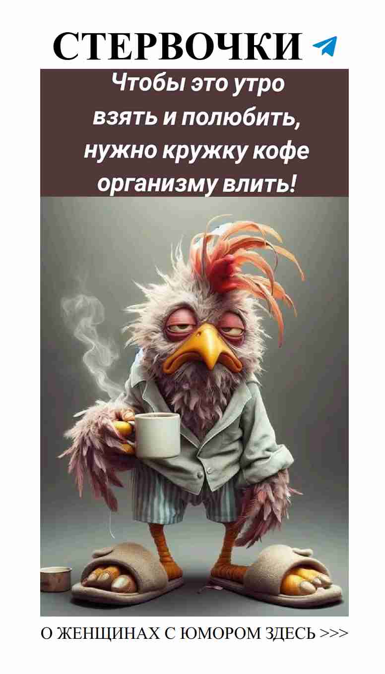 Смешные пожелания ко дню рождения в компании животных