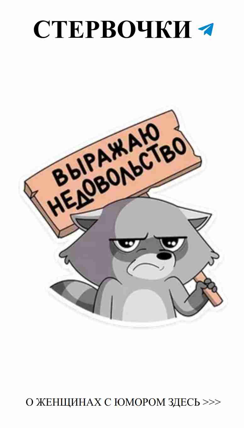 Стикер с енотом: смешные моменты о любви и дружбе