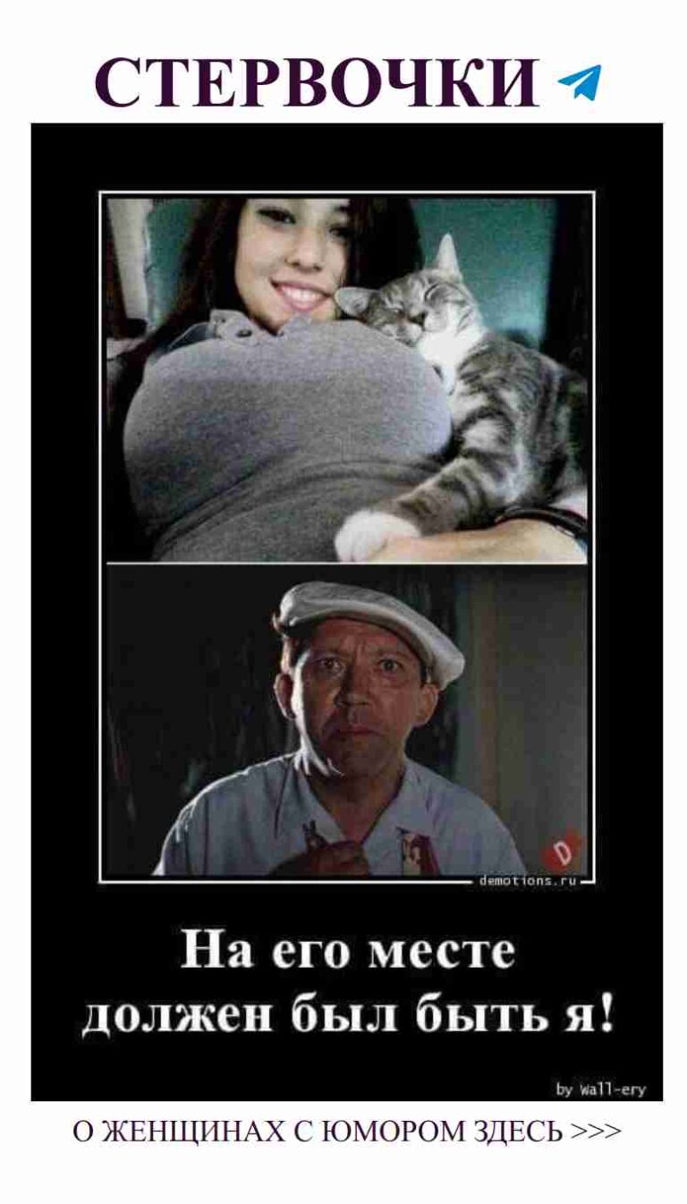 Смешные моменты любви: кот и двое в объятиях