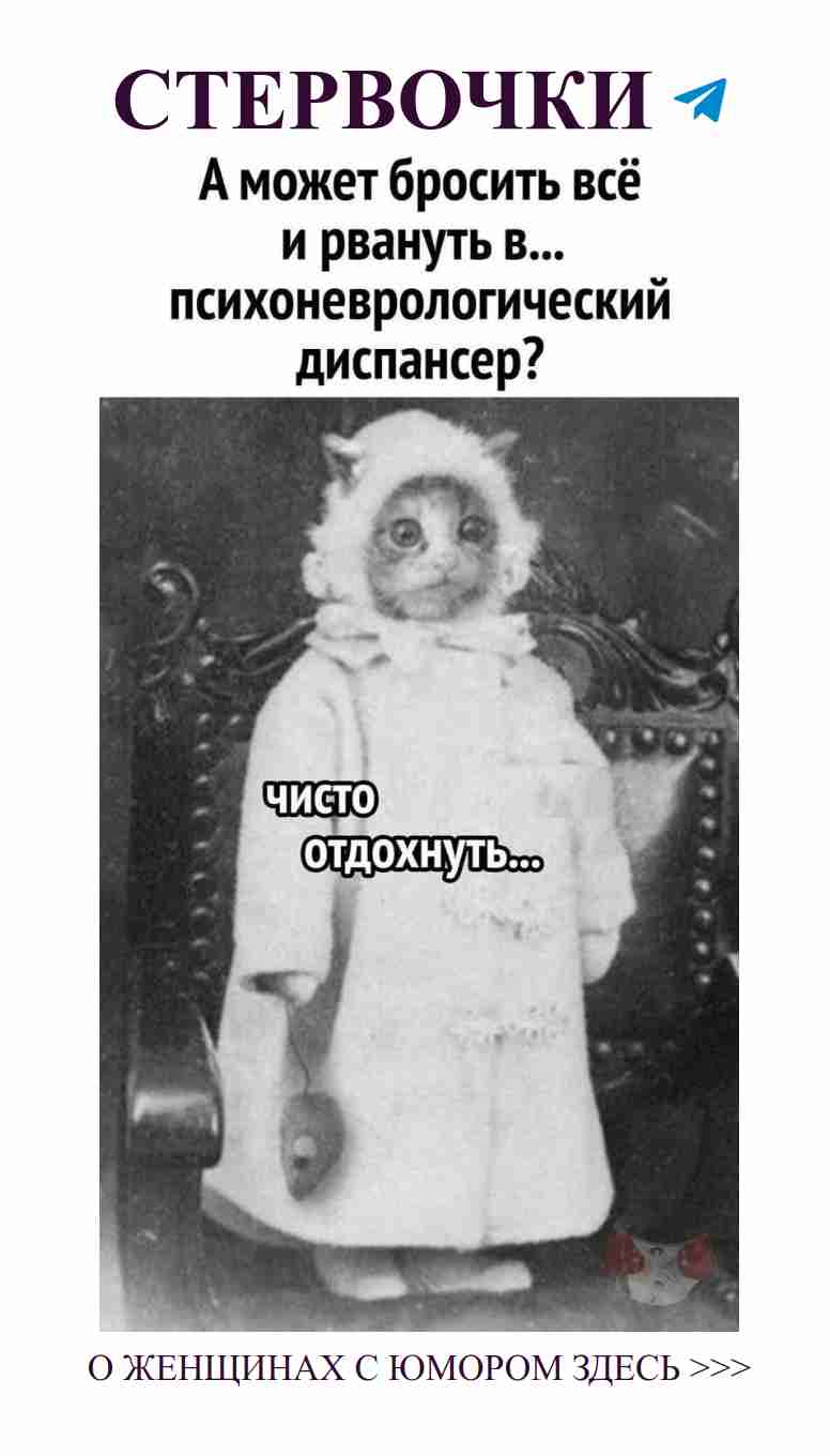 Смешной кот в шляпе и пальто отражает настоящую любовь