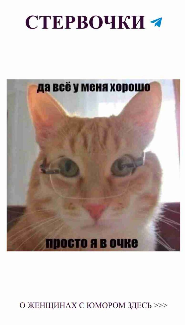 Смешные коты, которые любят смотреть на вас