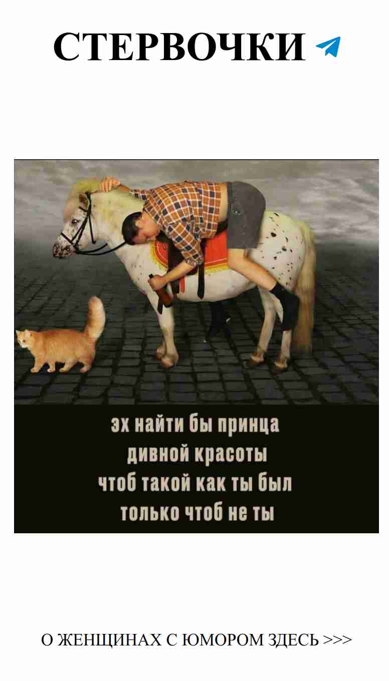 Женщина на лошади и кот: любовь с юмором и друзьями