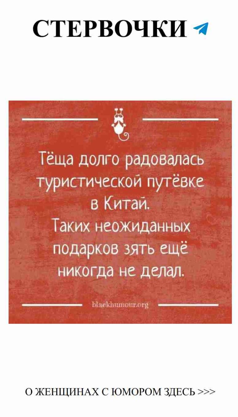 Знак с котом и белым текстом о любви и смешных ситуациях