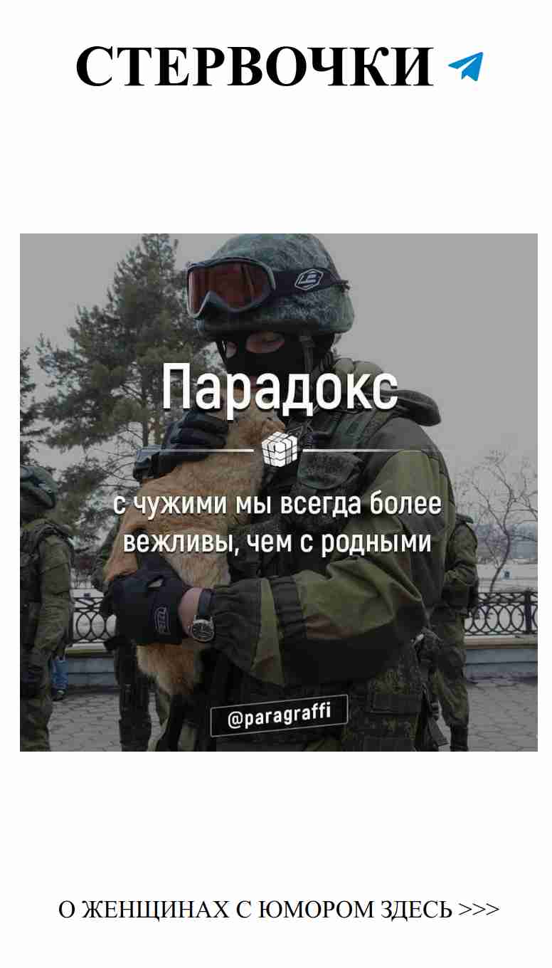 Солдаты и собаки: как любовь делает нас сильнее