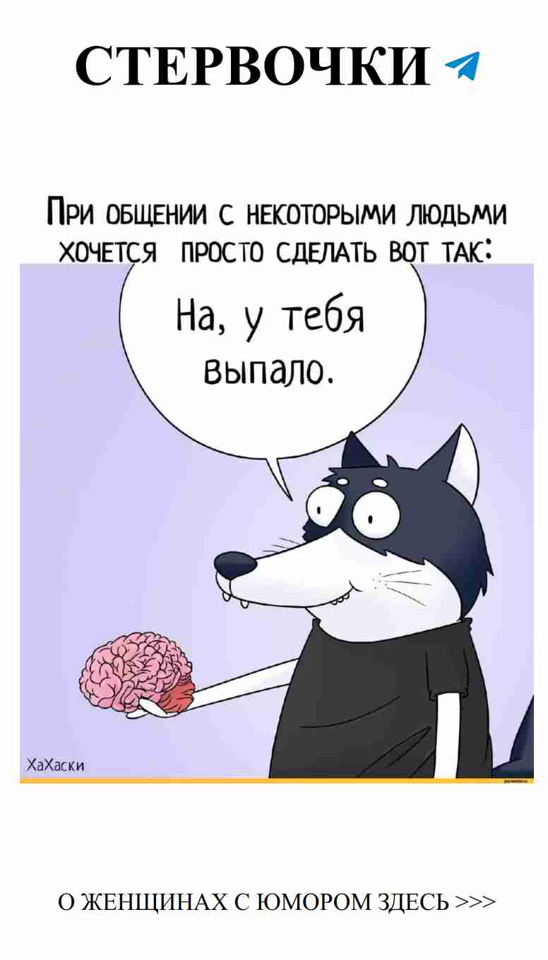 Утренние цитаты: когда любовь встречает юмор