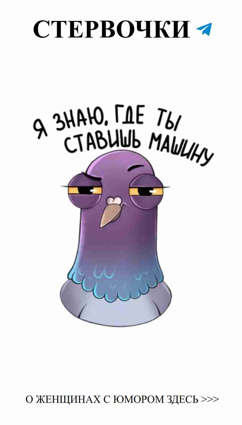 Смешные поздравления для любящих птиц