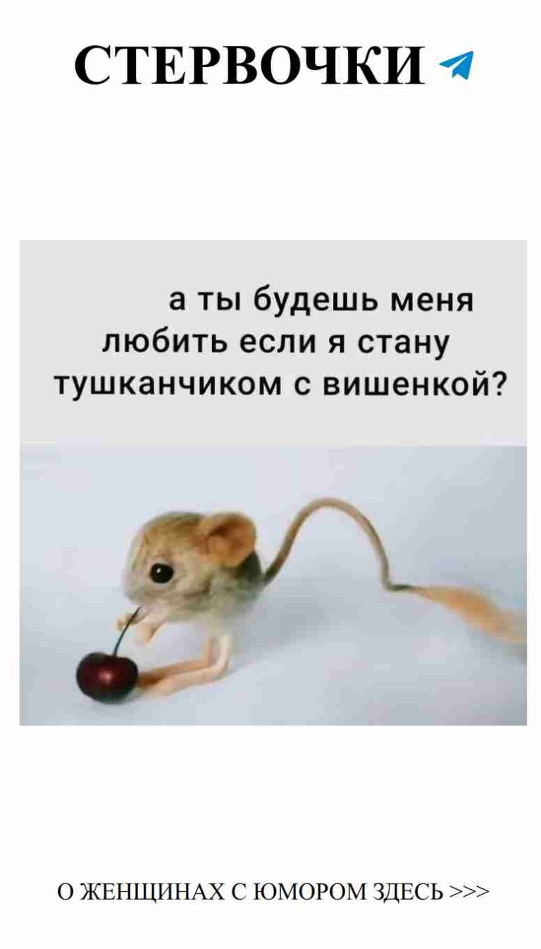 Смех о любви: когда романтика встречает юмор