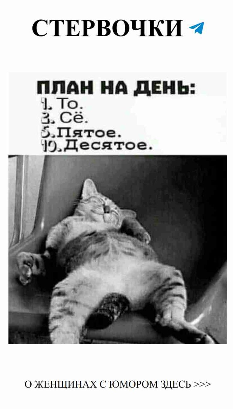 Кот на кресле: идеальный друг для ваших романтических моментов