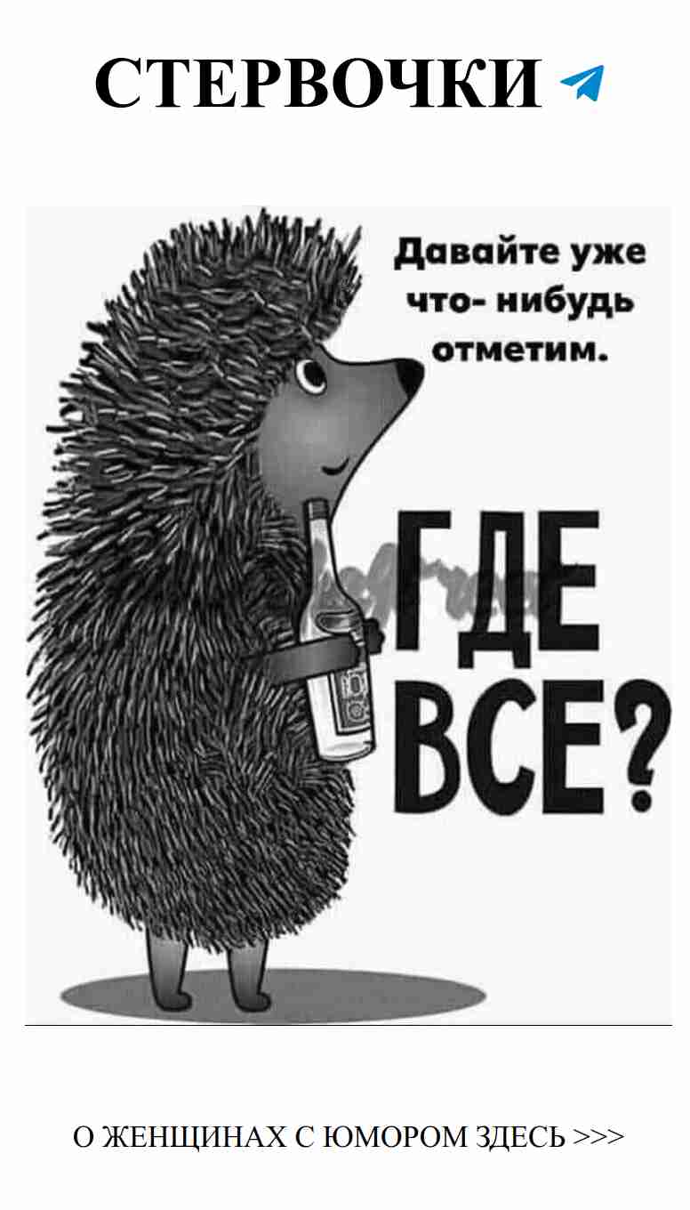 Смешные истории о любви: алкоголь и русский юмор