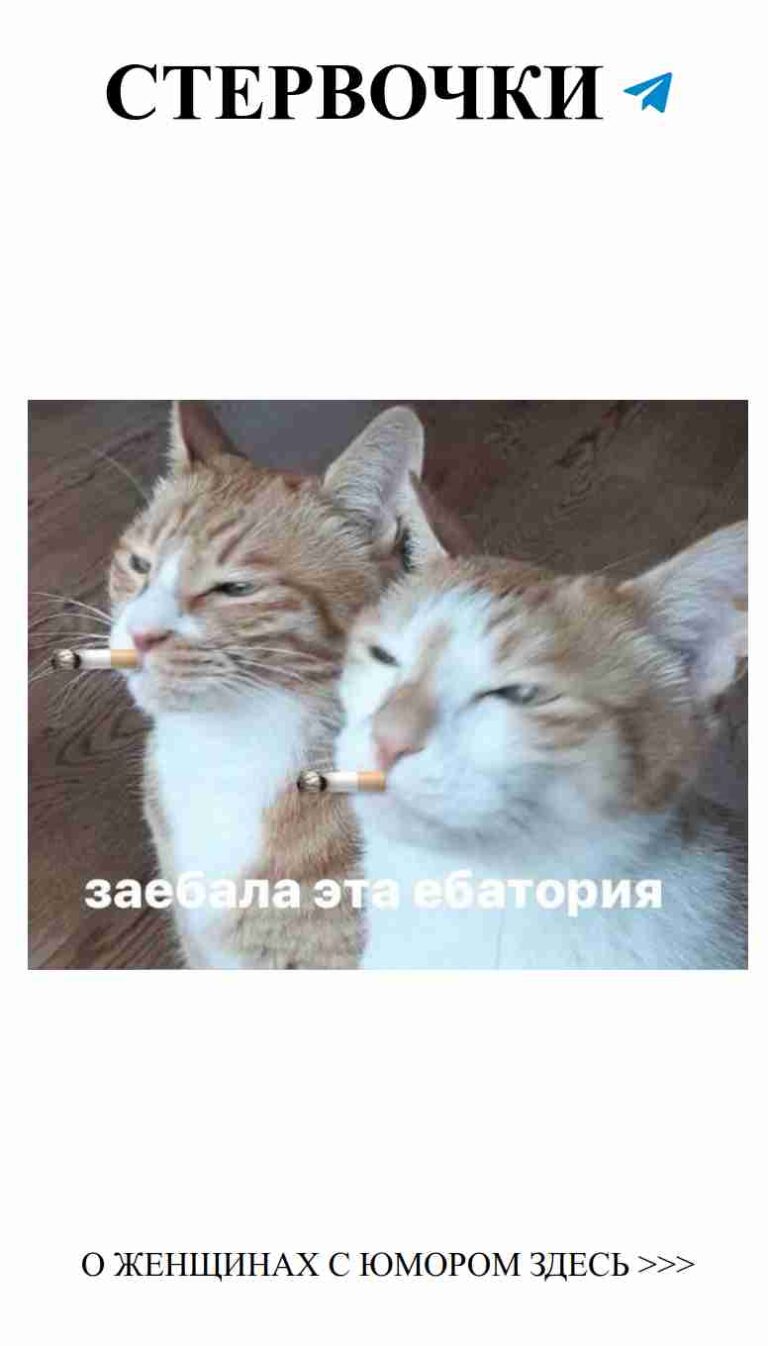 Любовь с юмором: как не потерять улыбку в отношениях