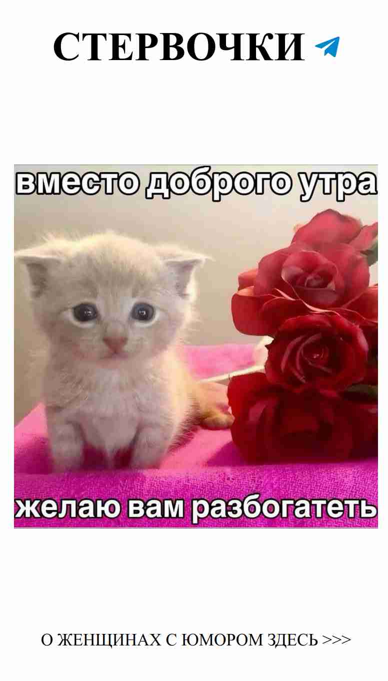 Любовь с юмором: когда сердце смеется без причин