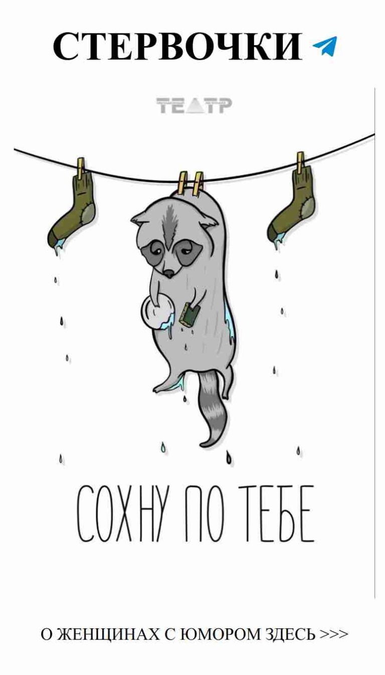 Котенок на веревке: смешные слова о любви и жизни