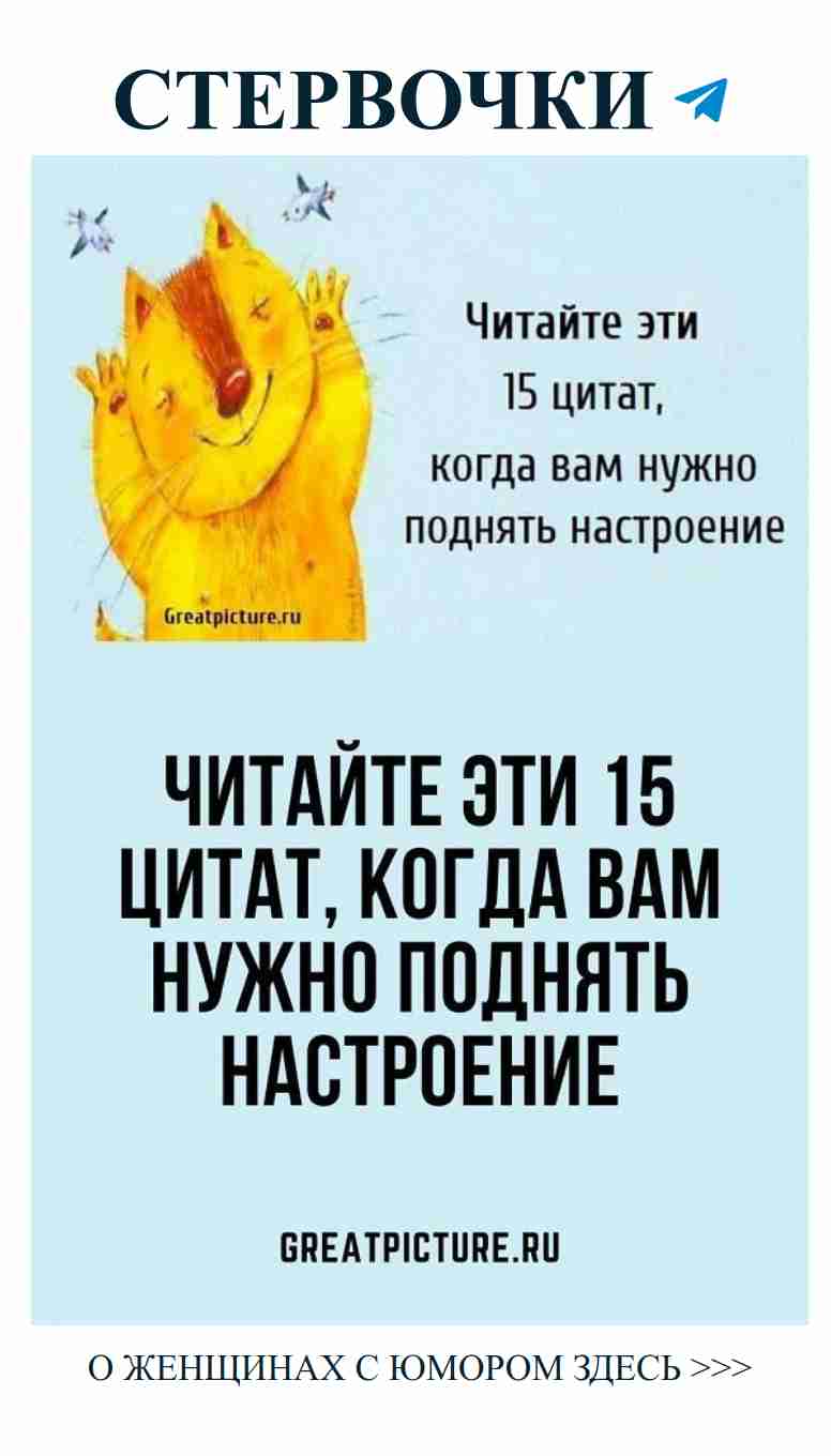 Любовь к жизни и юмору: кошка и птица в одной книге