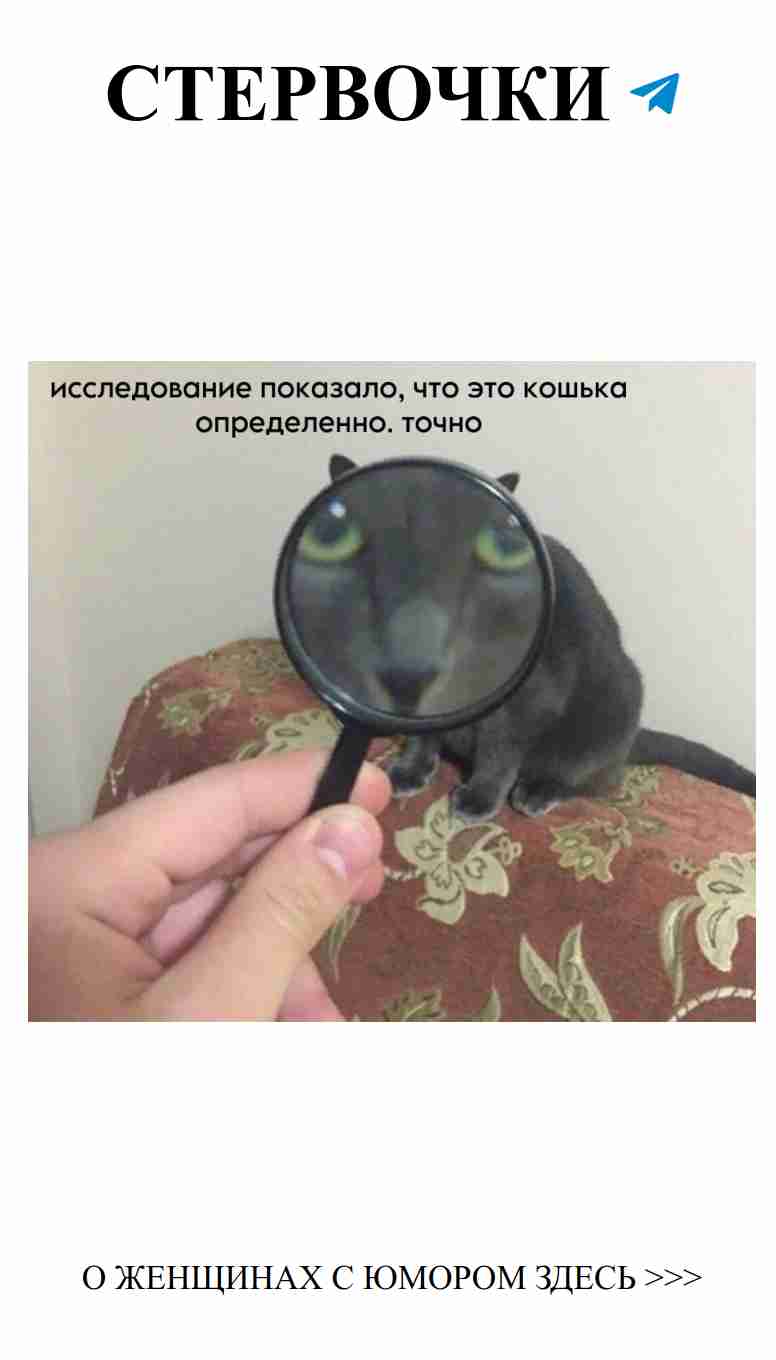 Любовь и смех: как совместить эти два важнейших чувства