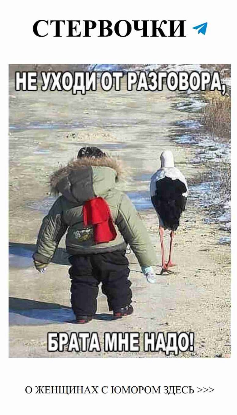 Когда любовь идет рядом с необычными друзьями