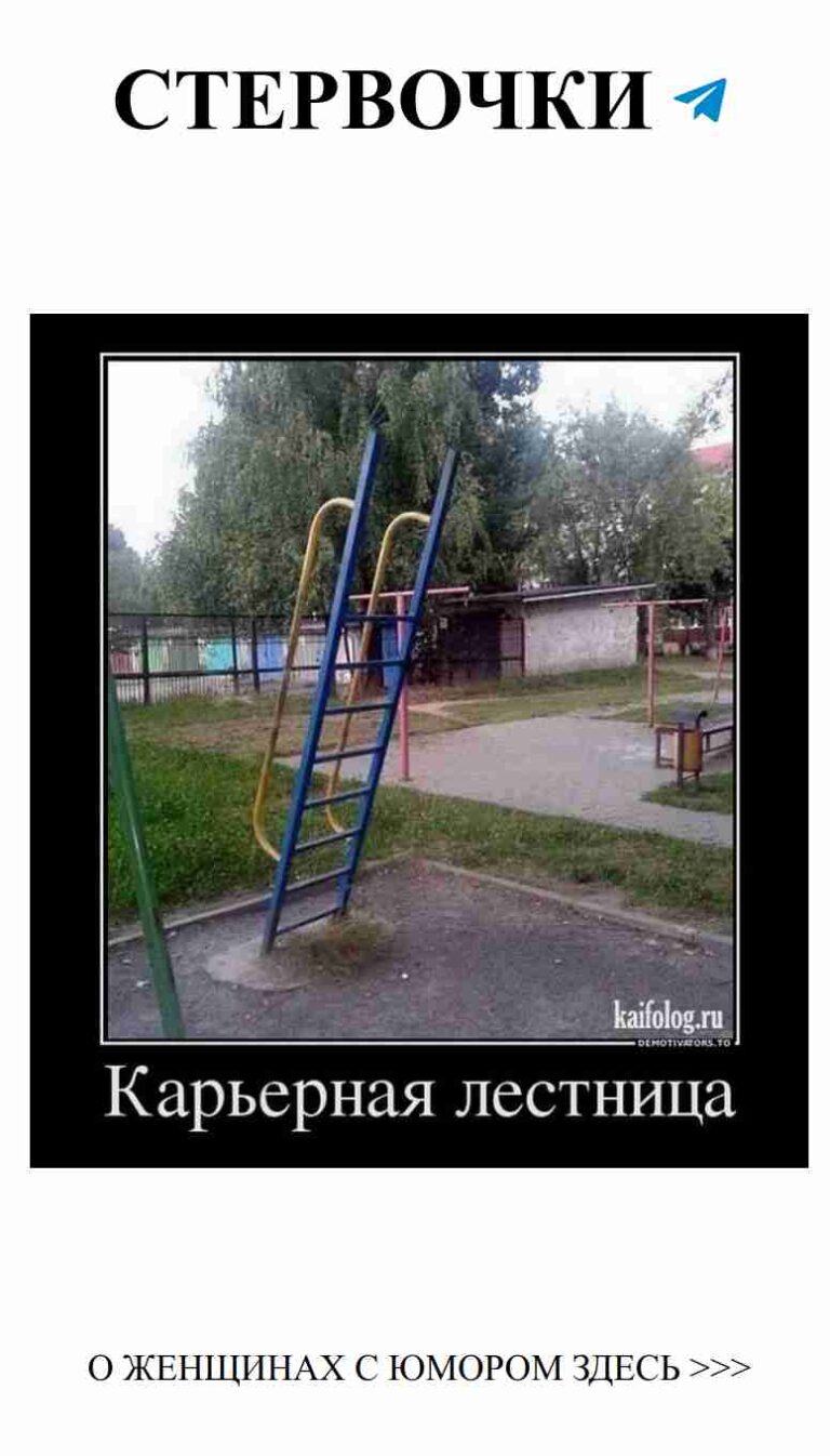 Синяя лестница в парке: забавные моменты о любви