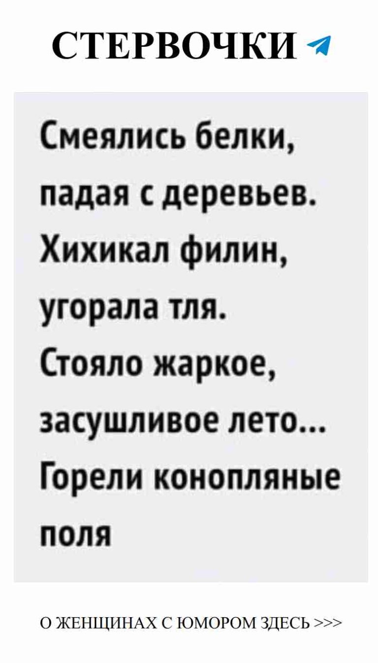 Смешные цитаты о любви для женщин, которые развеселят!