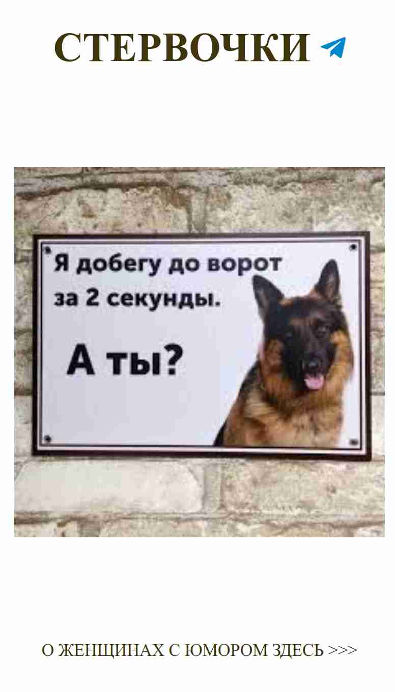 Собака, которая всегда рядом и смеётся вместе с нами