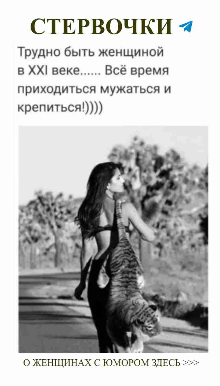 Кошка на плечах: Смешные ситуации любви