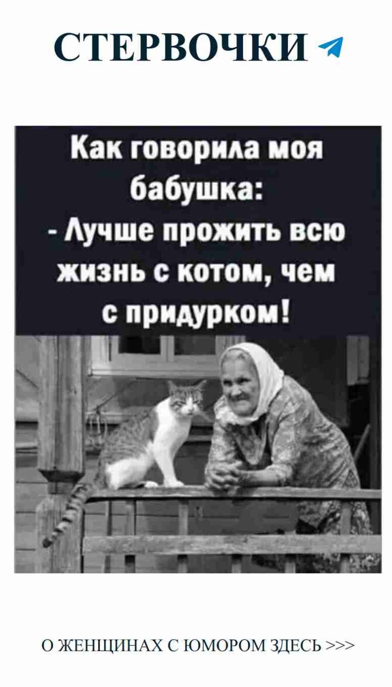 Смешные шутки о любви к животным и бабушкам
