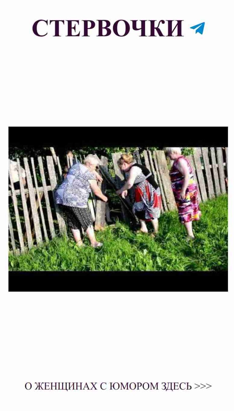 Три подруги на草, что-то обсуждают с юмором о любви