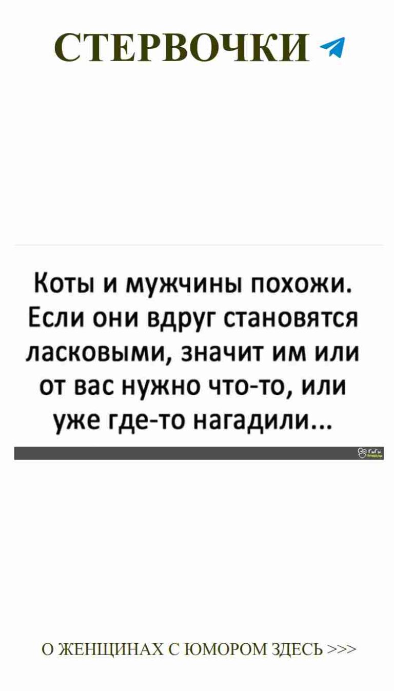 Любовь в черно-белых тонах: юмор для женщин