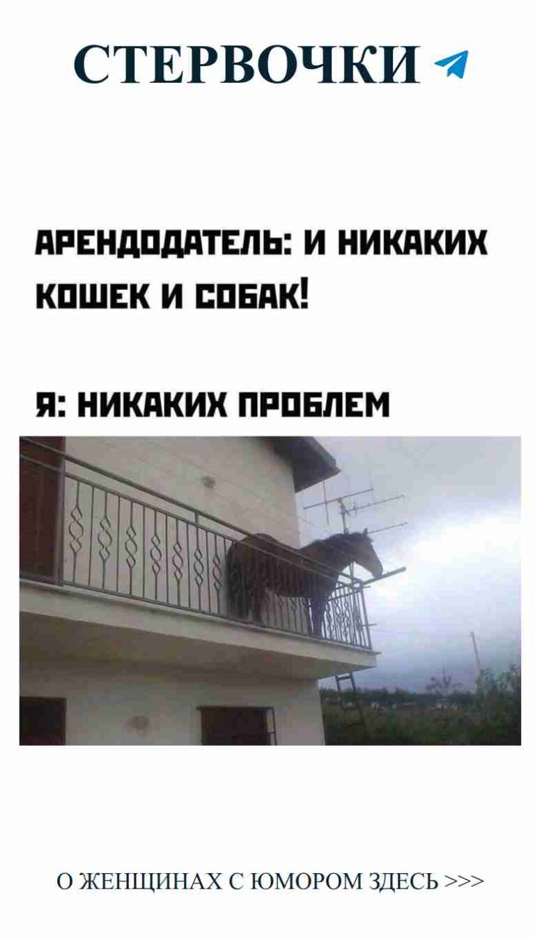 Лошадь на балконе: когда любовь за пределами разумного