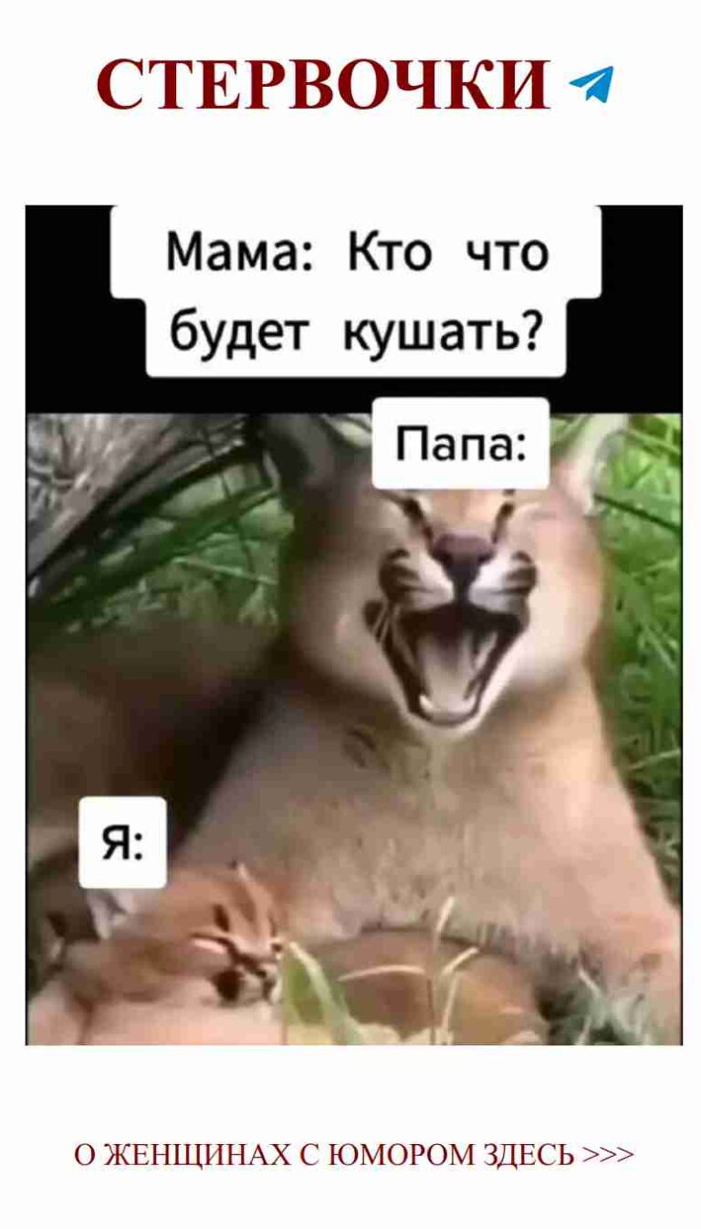 Друзья навсегда: смешные моменты с милыми животными