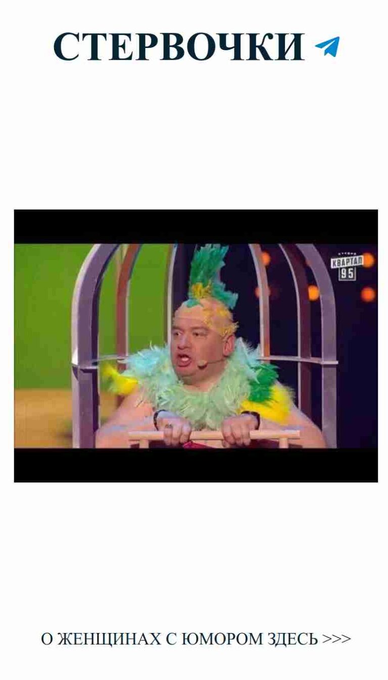 Когда любовь вызывает только смех с забавными пернатыми