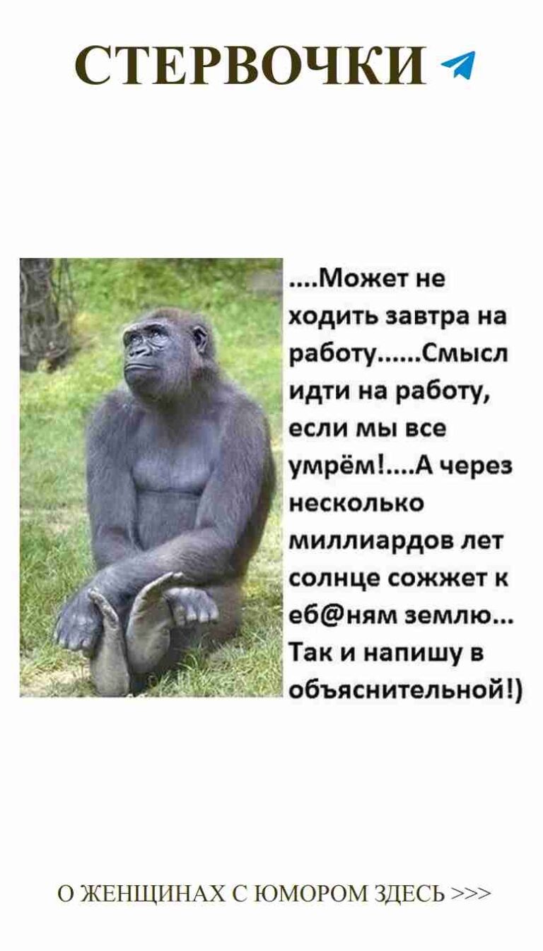 Смешные моменты с любимыми: горилла в траве