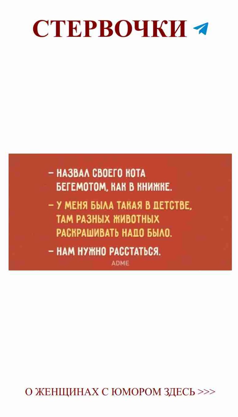 Записки о любви и безумии в нашем женском чате