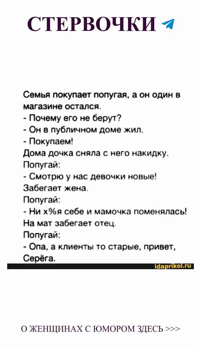 Любовь и юмор: смешные моменты, которые нас связывают