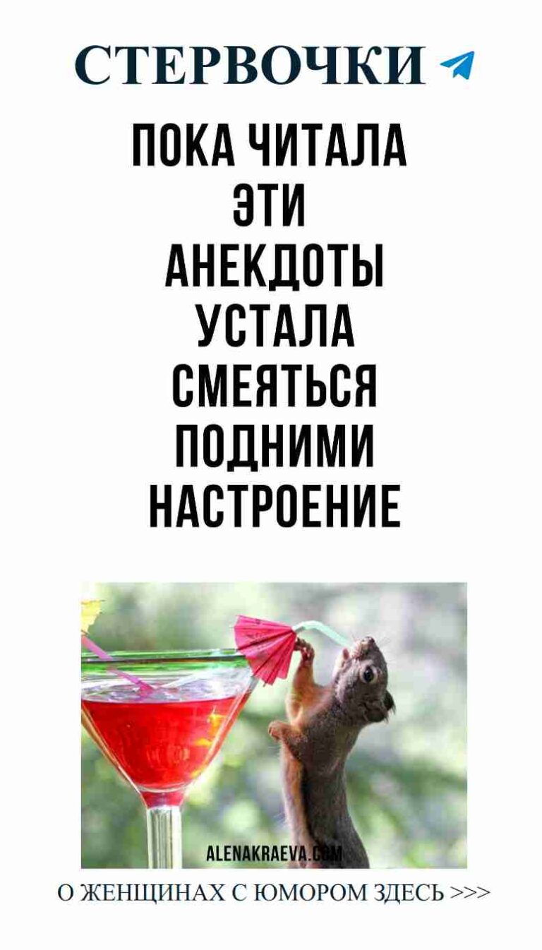 Какой коктейль выбрать для свидания с забавной белкой