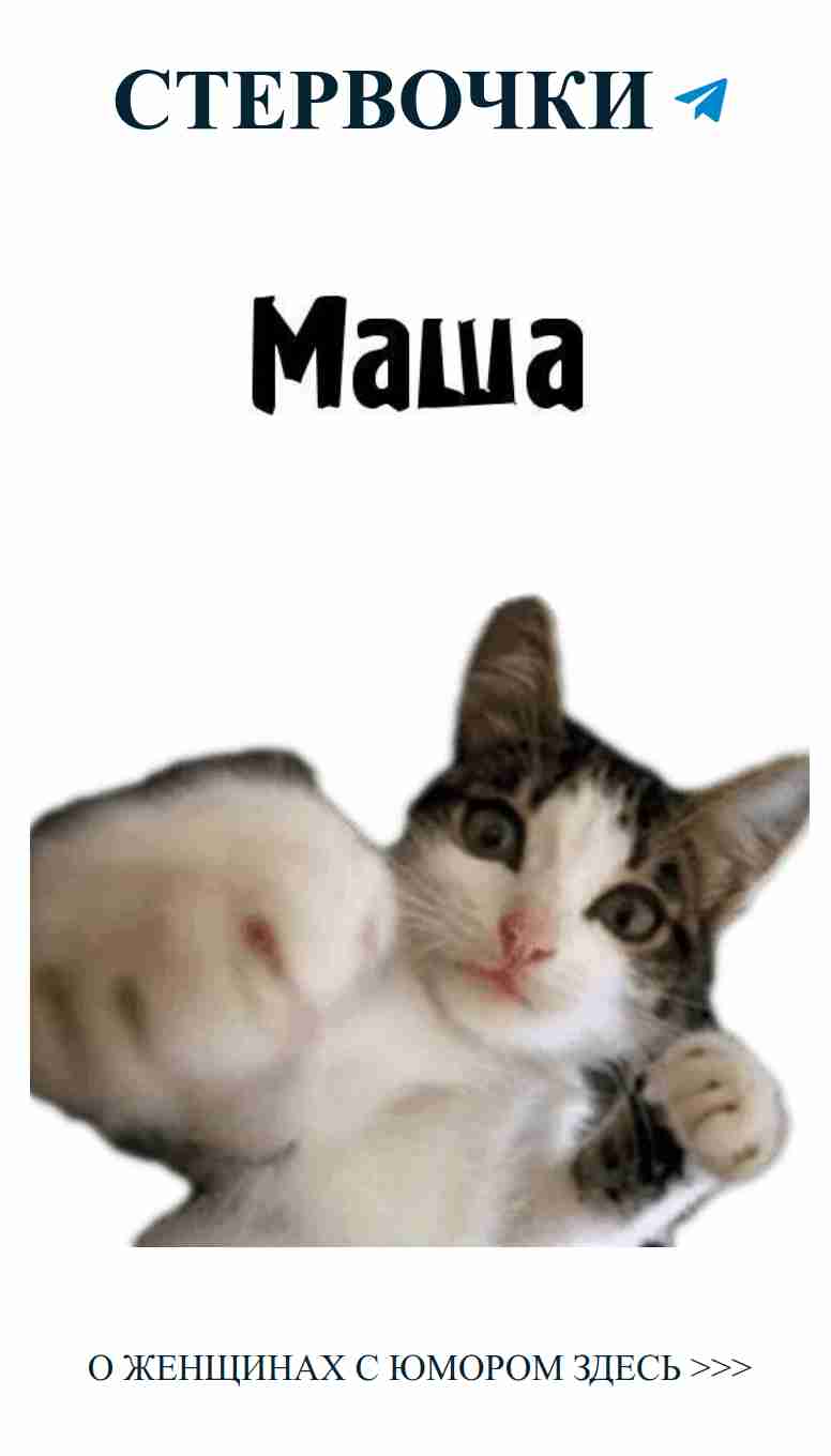 Кот на спине: смешное о любви и женской дружбе