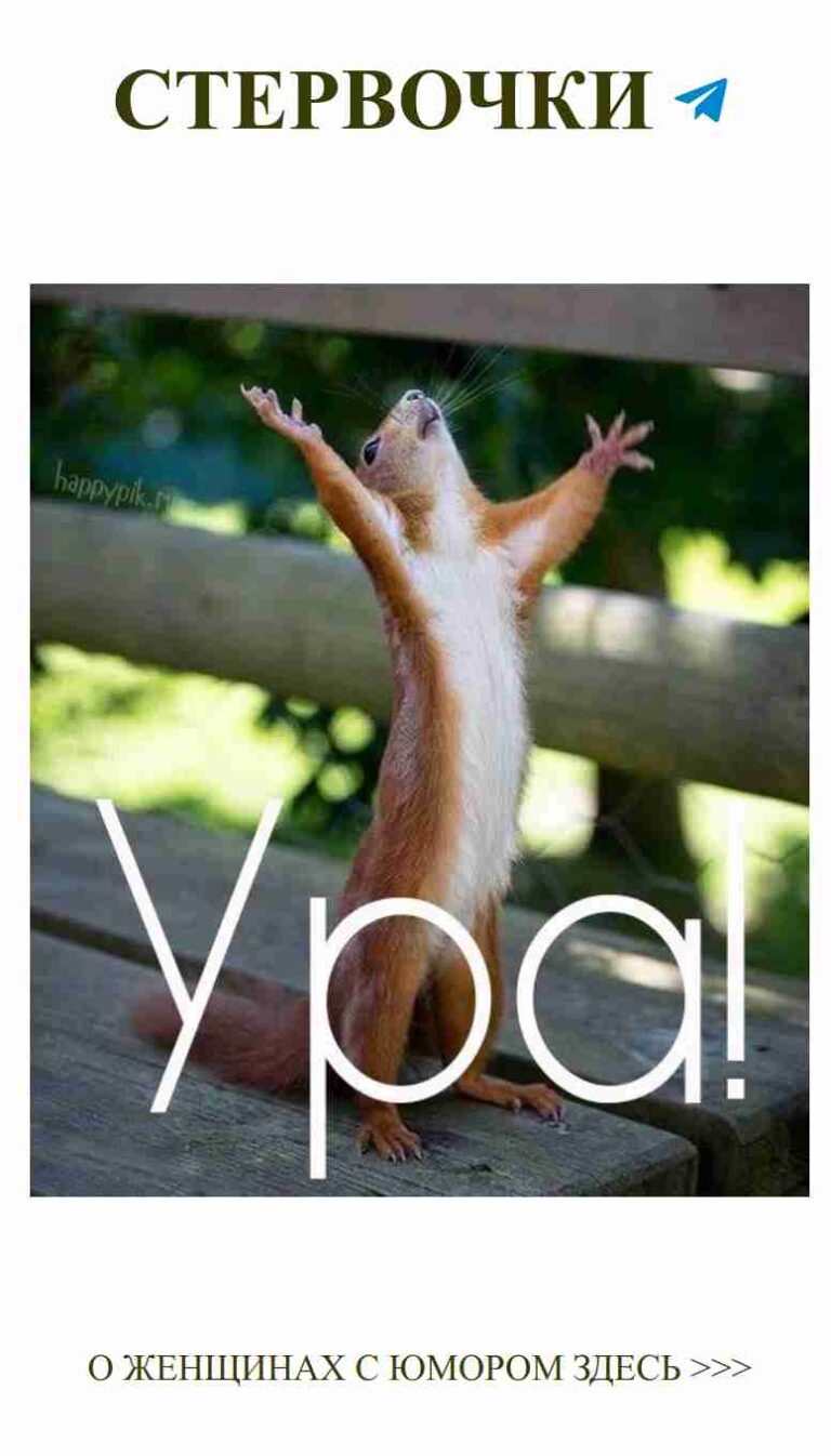 Когда твоя любовь поднимает настроение, как белка!