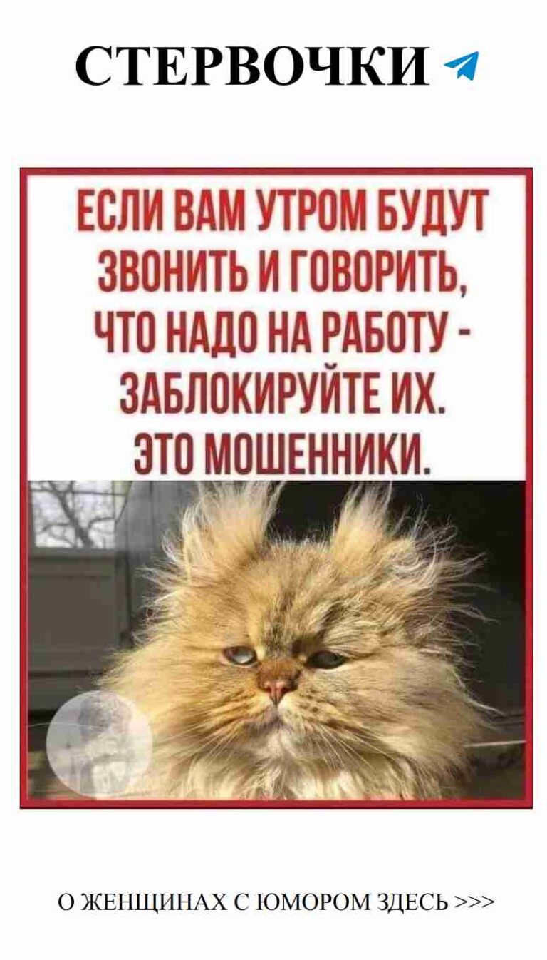 Когда ты ждешь любви, но жизнь шепчет: “Не сейчас”