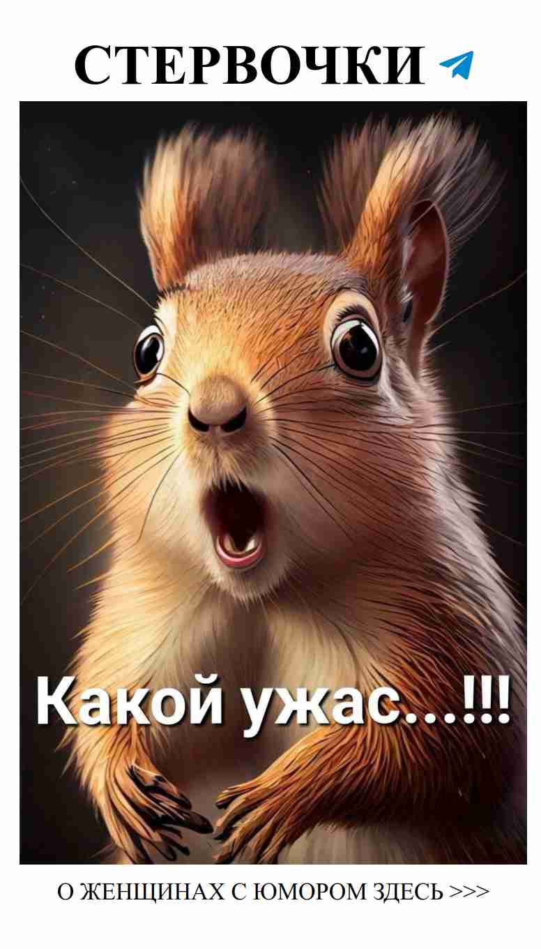 Когда любовь смешивается с юмором и белками