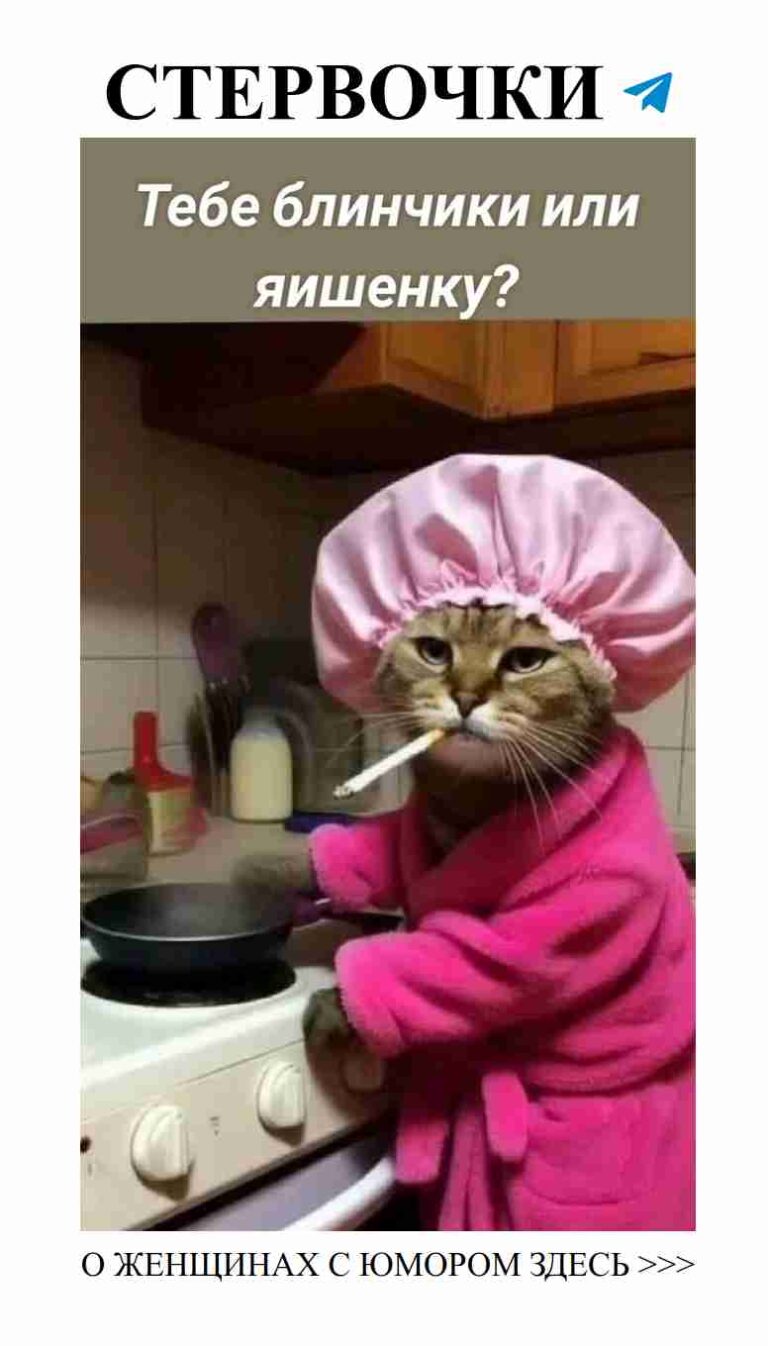 Кот в халате и с зубной щёткой: лучший юмор о любви