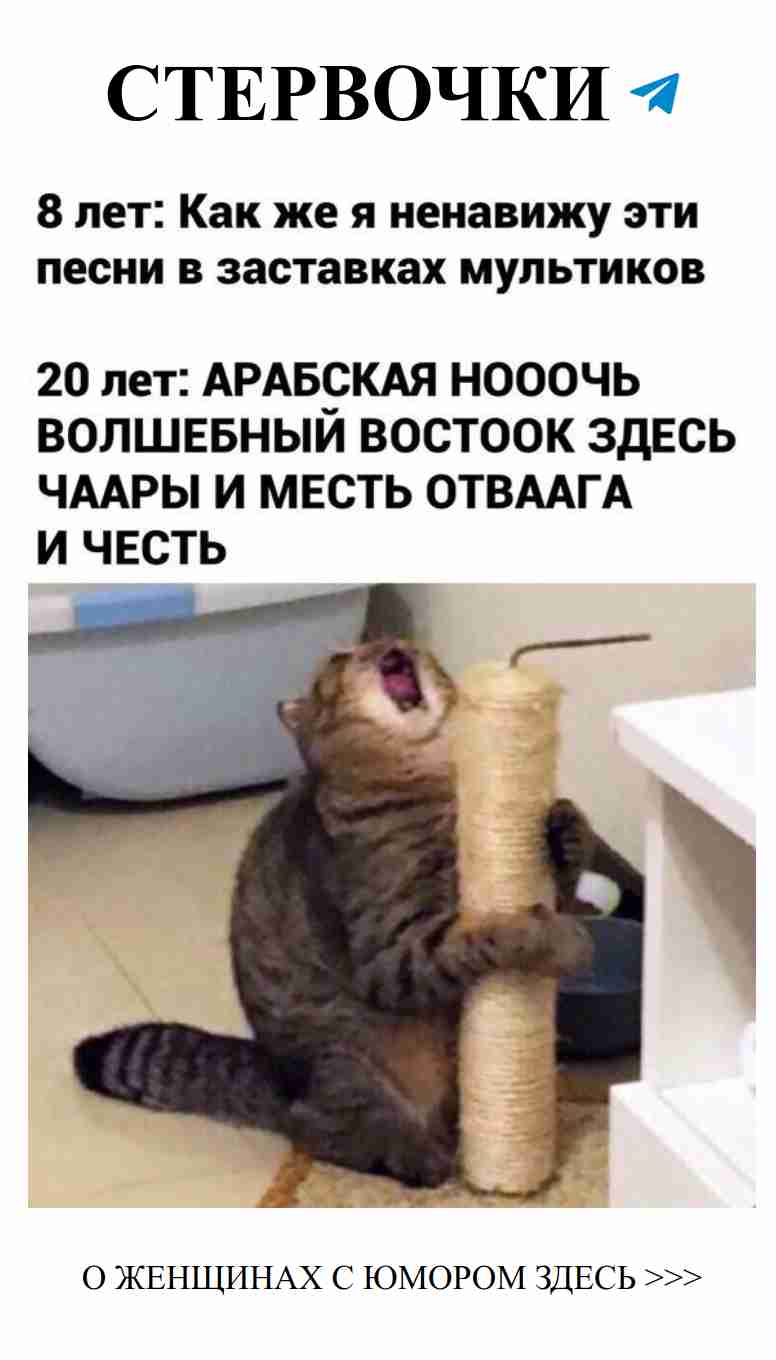 Кошка и любовь: смешные моменты каждого дня