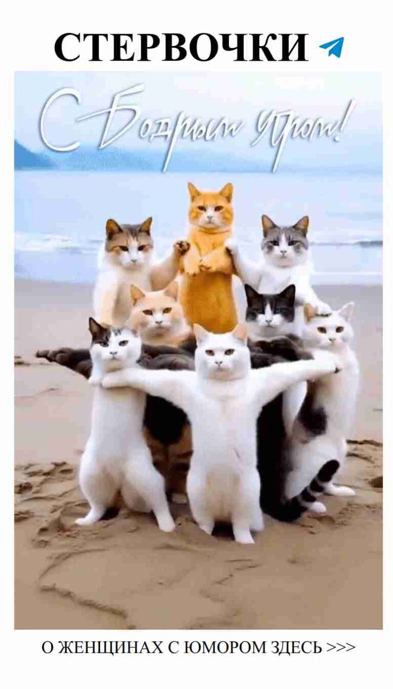 Кошачий любовный заговор на пляже