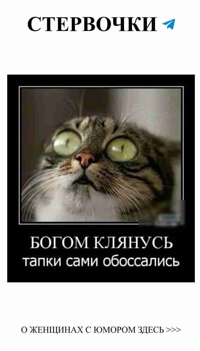 Смешные ситуации в любви, которые заставят улыбнуться