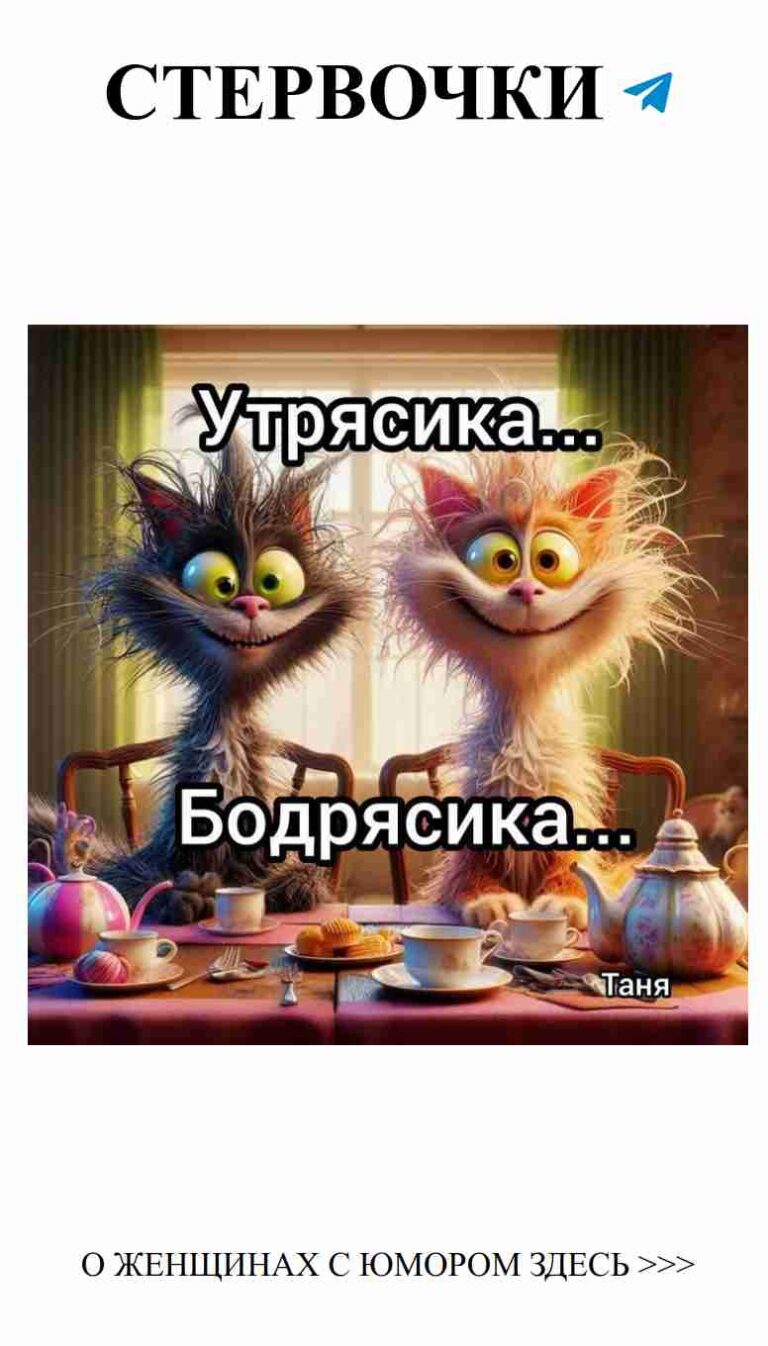 Коты за чаем: когда любовь и юмор в одном чашке