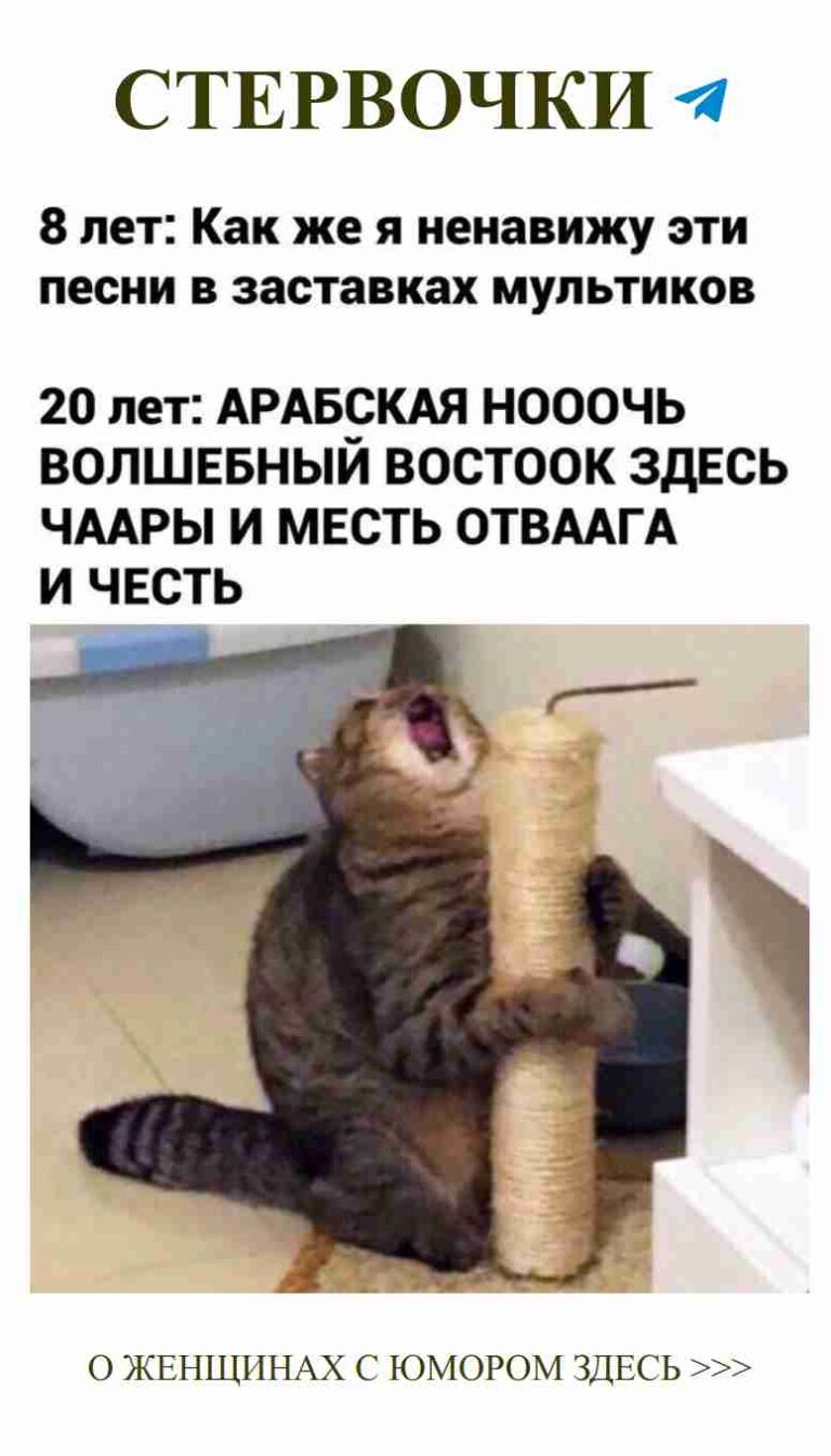 Кошка играет с когтеточкой: как найти радость в мелочах