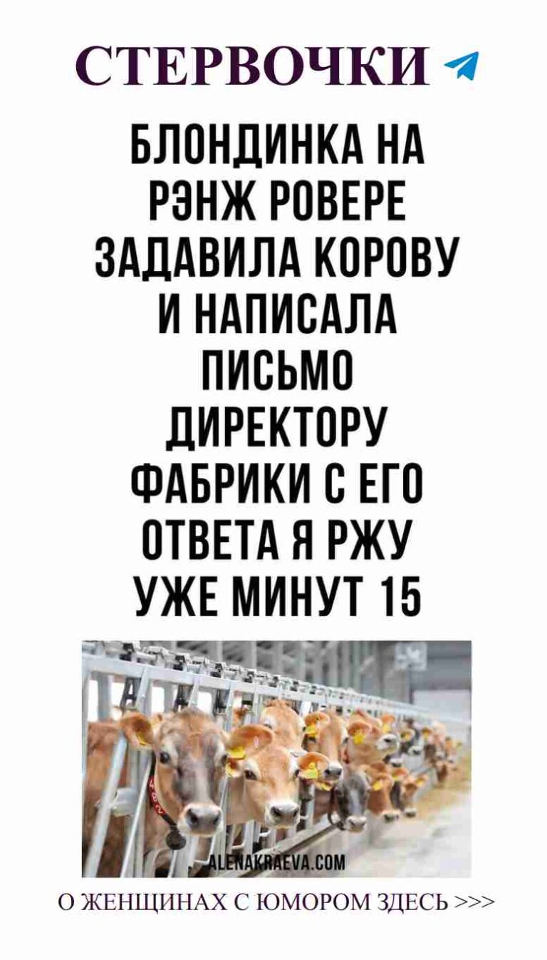 Коровы в строю: как любовь и юмор создают жизнь