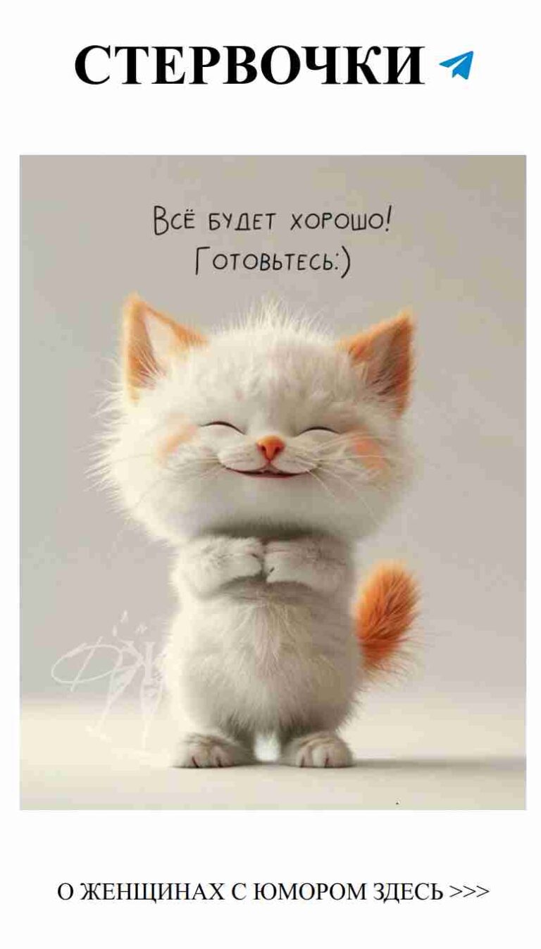 Утро, котик, готовый покорять сердца с юмором