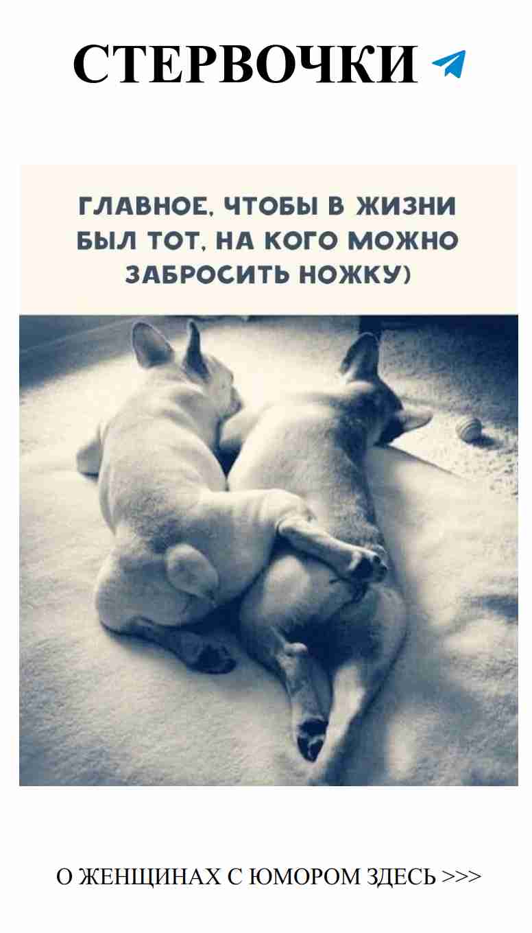 Любовь, смех и немного безумия: женщины в комедии