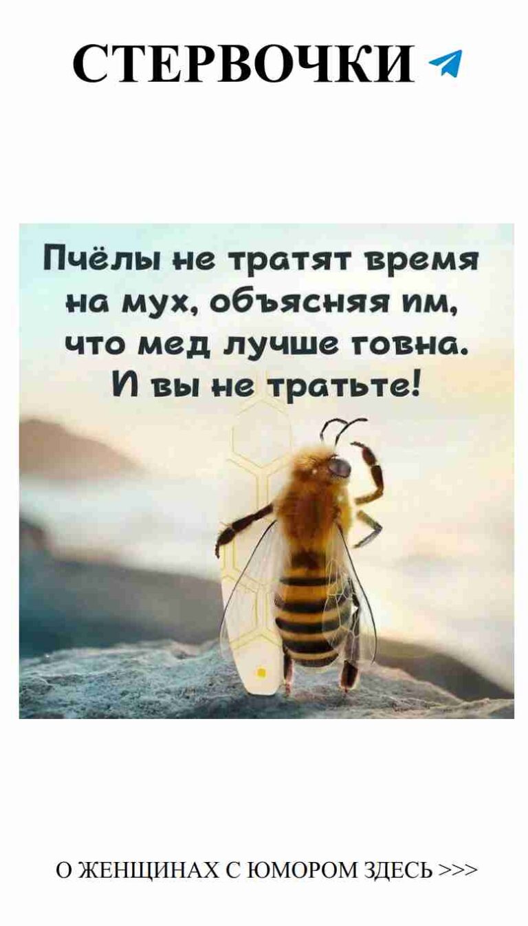 Любовь как пчела: сладка, но осторожна в выборе камня